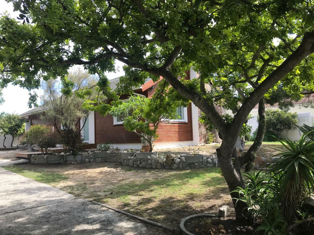 African Holiday Home In Table View Cape Town Eksteriør bilde